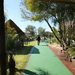 Copacabana 2* تريفة